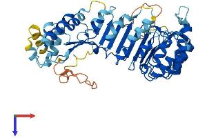 AlphaFold protein structure predicition of Human Recombinant PRAMEF1 Protein, UniprotID O95521