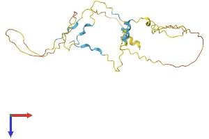 AlphaFold protein structure predicition of Human Recombinant TP53INP1 Protein, UniprotID Q96A56