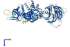 AlphaFold protein structure predicition of Mouse Recombinant Nsmaf Protein, UniprotID O35242