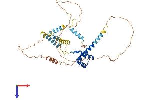 AlphaFold protein structure predicition of Mouse Recombinant Dmbx1 Protein, UniprotID Q91ZK4