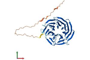 AlphaFold protein structure predicition of Mouse Recombinant Snrnp40 Protein, UniprotID Q6PE01