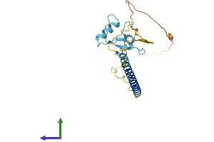 AlphaFold protein structure predicition of Human Recombinant THAP1 Protein, UniprotID Q9NVV9