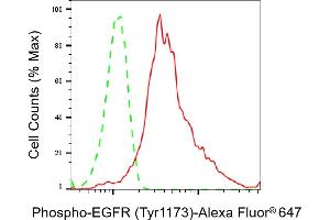 Flow cytometric analysis of Phospho-EGFR (Tyr) expression in HepG2 cells using Phospho-EGFR (Tyr) antibody (ABIN7798466), 1:2,000).