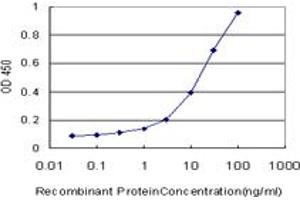 Detection limit for recombinant GST tagged SGCB is approximately 0. (SGCB anticorps  (AA 1-318))