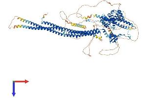 AlphaFold protein structure predicition of Mouse Recombinant Srgap2 Protein, UniprotID Q91Z67