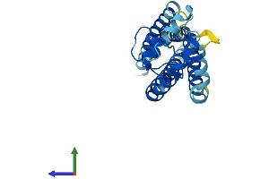AlphaFold protein structure predicition of Mouse Recombinant Tspan9 Protein, UniprotID Q8BJU2