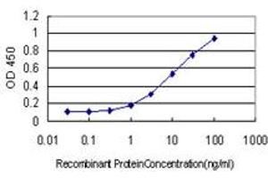 Detection limit for recombinant GST tagged HERC3 is approximately 0. (HERC3 anticorps  (AA 1-109))
