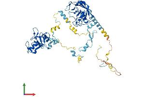 AlphaFold protein structure predicition of Human Recombinant PPIL2 Protein, UniprotID Q13356