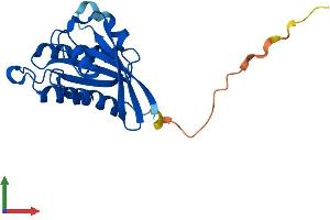 AlphaFold protein structure predicition of Human Recombinant RAB22A Protein, UniprotID Q9UL26