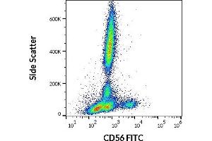 Flow cytometry surface staining pattern of human peripheral whole blood stained using anti-human CD56 (LT56) FITC antibody (4 μL reagent / 100 μL of peripheral whole blood). (CD56 anticorps  (FITC))