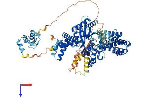 AlphaFold protein structure predicition of Human Recombinant ZBED5 Protein, UniprotID Q49AG3