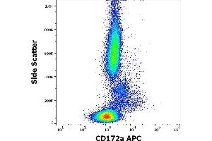 Flow cytometry surface staining pattern of human peripheral whole blood stained using anti-human CD172a (15-414) APC antibody (10 μL reagent / 100 μL of peripheral whole blood). (SIRPA anticorps  (APC))
