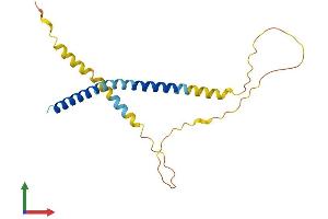 AlphaFold protein structure predicition of Human Recombinant FATE1 Protein, UniprotID Q969F0