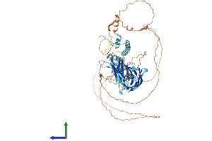 AlphaFold protein structure predicition of Mouse Recombinant Sytl5 Protein, UniprotID Q80T23