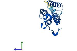 AlphaFold protein structure predicition of Human Recombinant ORMDL2 Protein, UniprotID Q53FV1