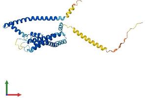 AlphaFold protein structure predicition of Human Recombinant KCNK1 Protein, UniprotID O00180