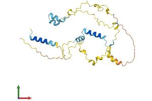 AlphaFold protein structure predicition of Mouse Recombinant Myoz2 Protein, UniprotID Q9JJW5