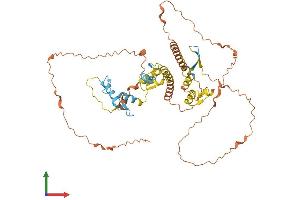 AlphaFold protein structure predicition of Mouse Recombinant Ikzf3 Protein, UniprotID O08900