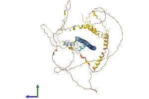AlphaFold protein structure predicition of Mouse Recombinant Creb3l2 Protein, UniprotID Q8BH52