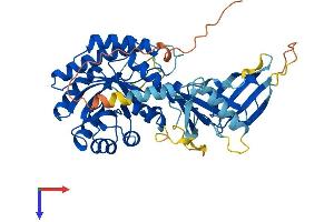 AlphaFold protein structure predicition of Human Recombinant AZIN2 Protein, UniprotID Q96A70