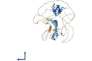 AlphaFold protein structure predicition of Mouse Recombinant Mefv Protein, UniprotID Q9JJ26