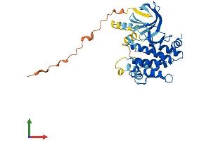AlphaFold protein structure predicition of Human Recombinant MAP2K6 Protein, UniprotID P52564