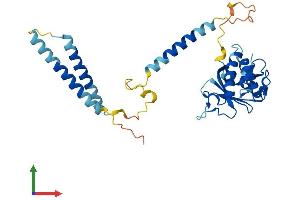AlphaFold protein structure predicition of Mouse Recombinant Med27 Protein, UniprotID Q9DB40