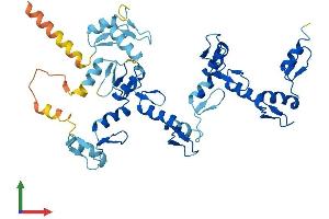 AlphaFold protein structure predicition of Human Recombinant ZNF260 Protein, UniprotID Q3ZCT1