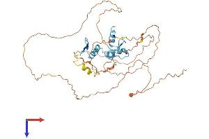 AlphaFold protein structure predicition of Human Recombinant KLF12 Protein, UniprotID Q9Y4X4