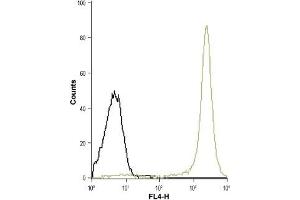 Cell surface detection of FPR1 in live intact human THP-1 acute monocytic leukemia cell line: (black line) Unstained cells + goat-anti-rabbit-Cy5.