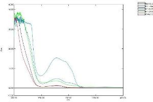 Image no. 1 for Melatonin (MT) protein (Ovalbumin) (ABIN1880130) (Melatonin Protein (MT) (Ovalbumin))