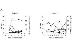 (A) Time course detection of HMGB1 and IgG against anti-HMGB1 (black triangle), anti-HMGB2 (black square) and anti-EBNA1 (black circle) on sequential plasma from patients 1 and 2.