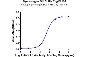 Immobilized Cynomolgus DLL3, His Tag at 0.