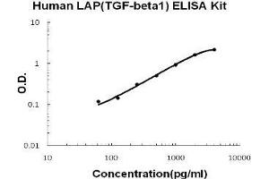 Human LAP(TGF-beta1) PicoKine ELISA Kit standard curve