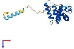 AlphaFold protein structure predicition of Mouse Recombinant Rgs5 Protein, UniprotID O08850