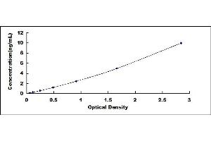 Typical standard curve (DNMT1 Kit ELISA)