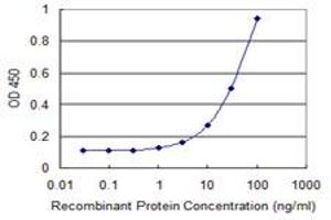 Detection limit for recombinant GST tagged CAMK1G is 1 ng/ml as a capture antibody.