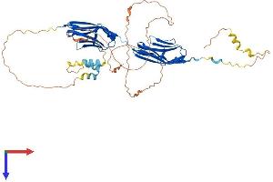 AlphaFold protein structure predicition of Mouse Recombinant Myot Protein, UniprotID Q9JIF9