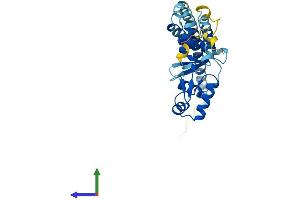 AlphaFold protein structure predicition of Human Recombinant SNF8 Protein, UniprotID Q96H20