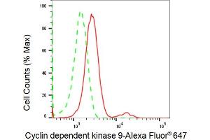 Flow cytometric analysis of Cyclin dependent kinase 9 expression in HepG2 cells using Cyclin dependent kinase 9 antibody (ABIN7798221), 1:2,000). (Recombinant CDK9 anticorps)