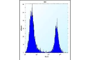 FKBP7 Antibody (C-term) (ABIN656813 and ABIN2846027) flow cytometric analysis of 293 cells (right histogram) compared to a negative control cell (left histogram).