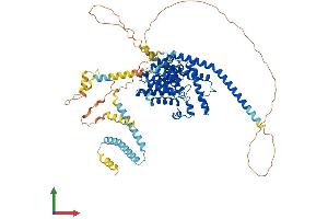 AlphaFold protein structure predicition of Mouse Recombinant Pde1c Protein, UniprotID Q64338
