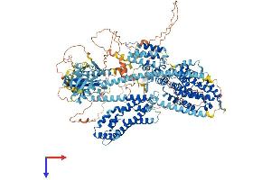 AlphaFold protein structure predicition of Human Recombinant RASGRF1 Protein, UniprotID Q13972