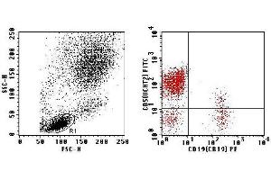 Flow Cytometry (FACS) image for anti-CD2/CD19 (CD2/CD19) antibody (FITC,PE) (ABIN2144434) (CD2/CD19 anticorps  (FITC,PE))