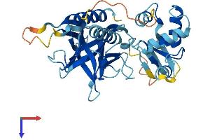 AlphaFold protein structure predicition of Mouse Recombinant Plek Protein, UniprotID Q9JHK5
