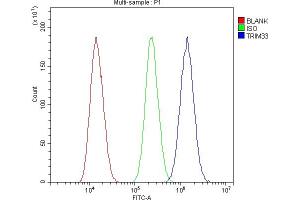 Flow Cytometry analysis of U87 cells using anti-TIF1 gamma antibody (ABIN3043492).