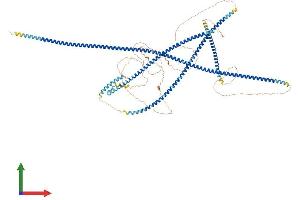 AlphaFold protein structure predicition of Human Recombinant BICD1 Protein, UniprotID Q96G01