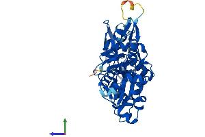 AlphaFold protein structure predicition of Human Recombinant ACTRT3 Protein, UniprotID Q9BYD9