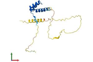 AlphaFold protein structure predicition of Human Recombinant RAX2 Protein, UniprotID Q96IS3