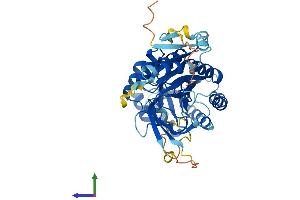 AlphaFold protein structure predicition of Mouse Recombinant Azin1 Protein, UniprotID O35484